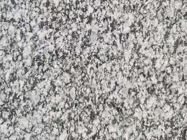 山東芝麻黑
